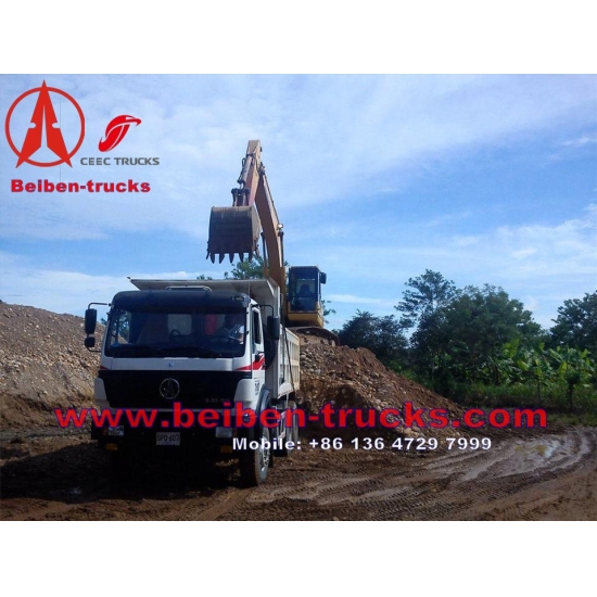 china 340 Hp north benz dump truck for africa customer