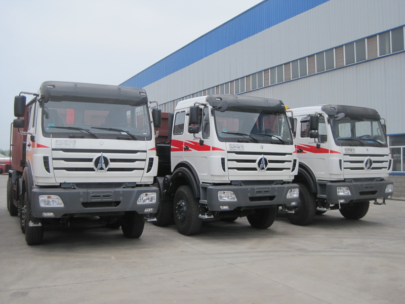 El cliente de Mogolia realiza un pedido de 30 unidades de camiones volquete beiben de 12 ruedas
